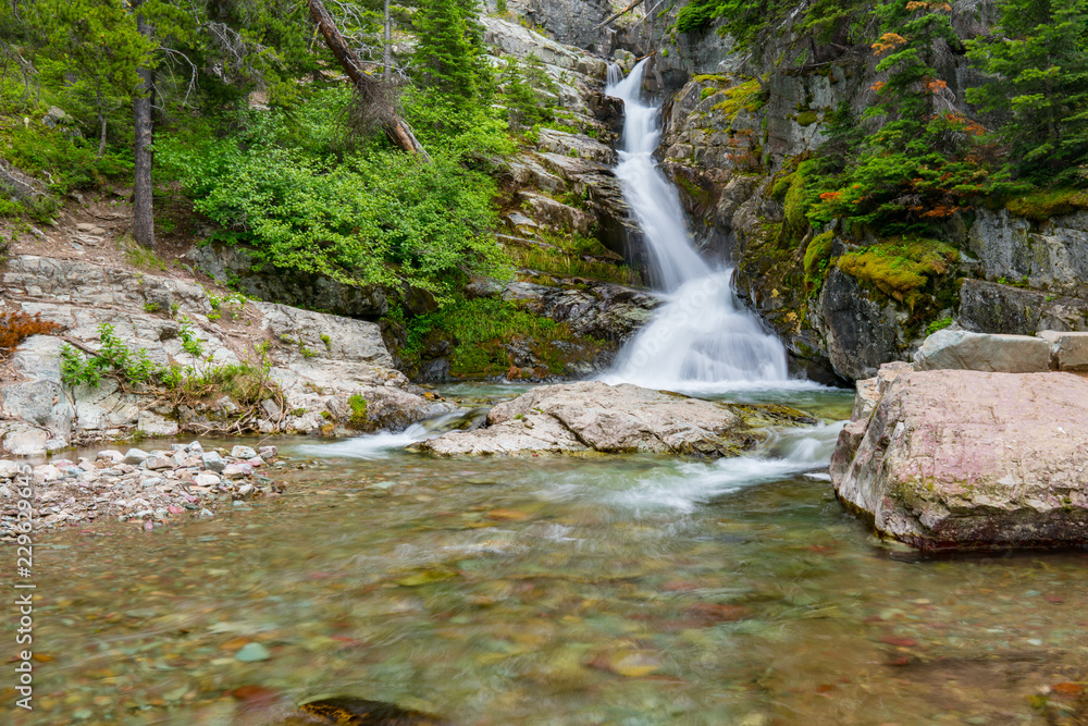 Obraz premium Aster Falls, Glacier National Park, Montana