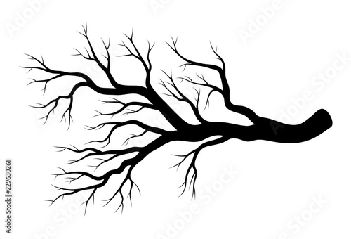 bare branch winter design isolated on white background