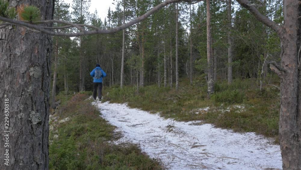 The traveler goes on a forest path. He explores new routes in the national park. Active travel and healthy life. The traveler goes on a forest path. He explores new routes in the national park. Active travel and healthy life.