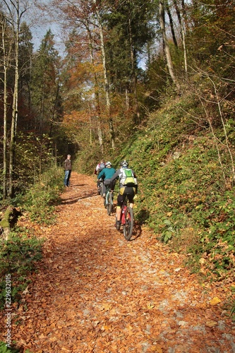 Cyclists on a forest trail in austria in autumn. In the Glasenbach gorge, near Salzburg city, Austria, Europe. A gorge of great geological interest.
