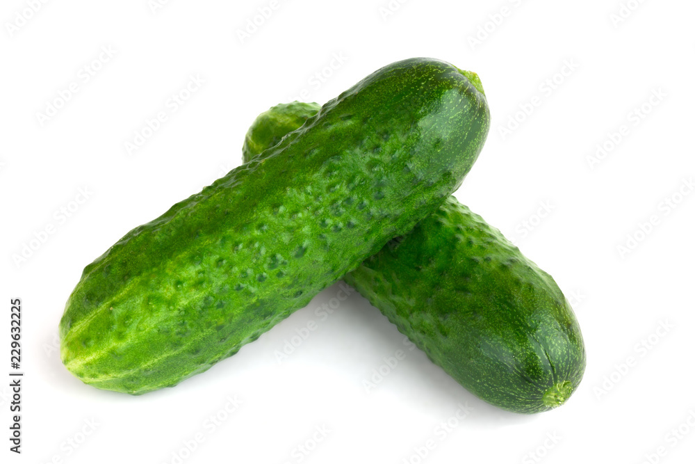 Fresh green cucumbers on a white background. Two cucumbers closeup isolated on white background. Fresh green cucumbers on a white background. Two cucumbers closeup isolated on white background.