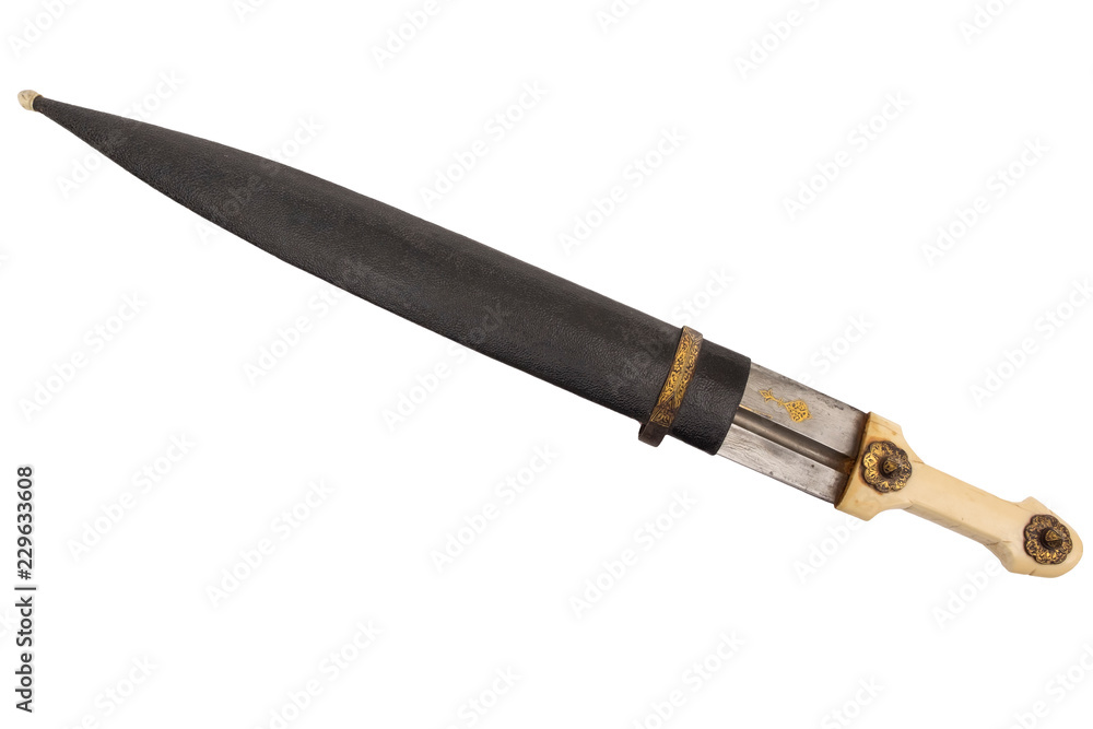 Oriental dagger with a handle from a bone sheath on a white background.