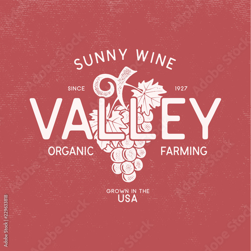 Sunny wine valley shop logo, winery logo template concept. Vine, leaf and typography design. Stock vector emblem isolated on white background