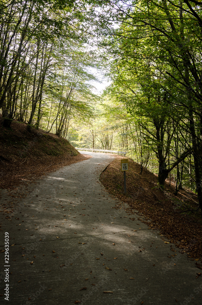 Fototapeta premium kilometer 13