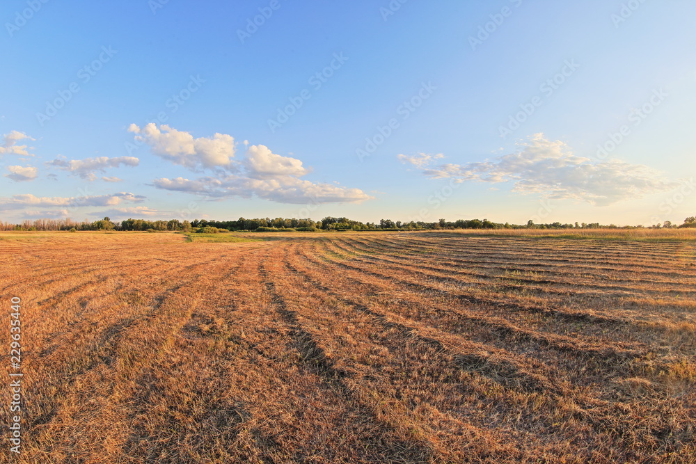 plowed field in spring plowed field in spring