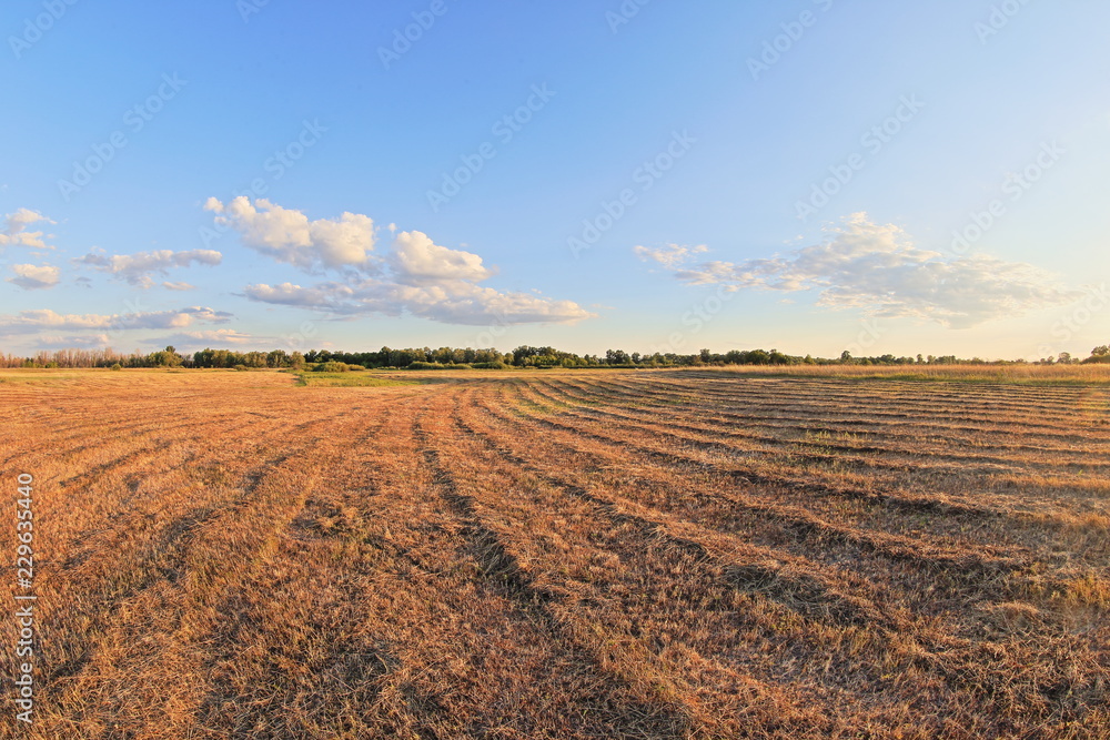 plowed field in spring