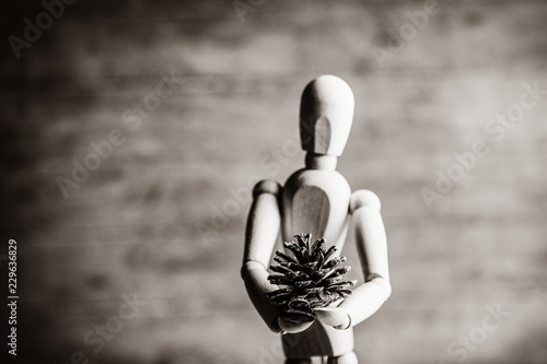 photo of the beautiful gestalta with fir-cone on the brown wooden background . Image in black and white color style