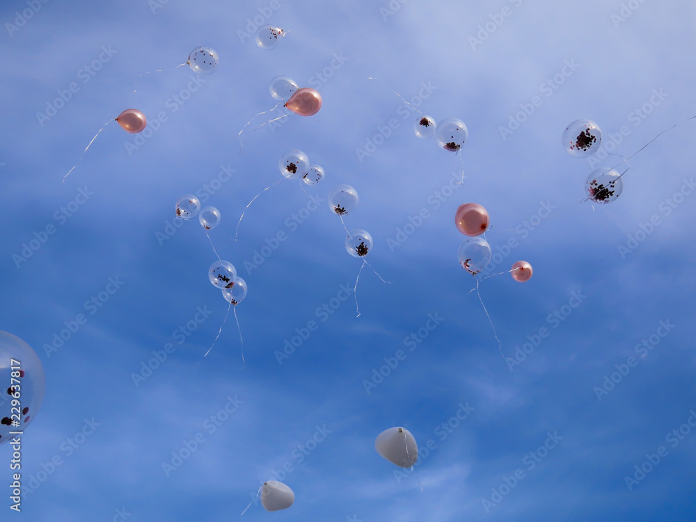 balloons flying in the sky balloons flying in the sky