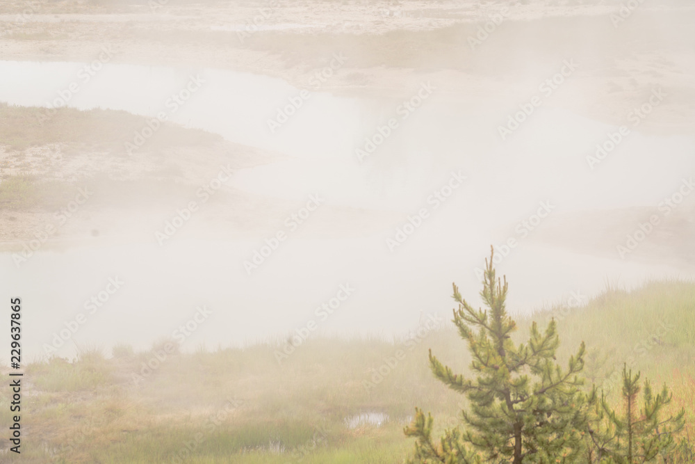 Yellowstone national park landscape. Geothermal activity, hot thermal springs with boiling water and fumes at Yellowstone National Park, USA Yellowstone national park landscape. Geothermal activity, hot thermal springs with boiling water and fumes at Yellowstone National Park, USA