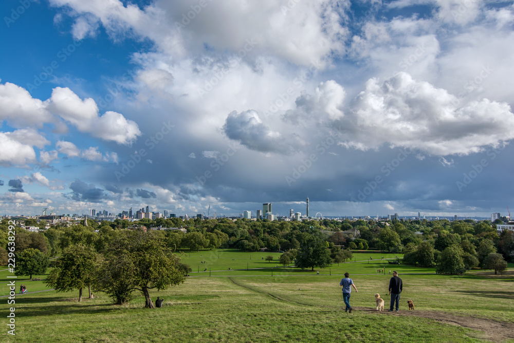 Panoramic view of Primrose Hill park in London during the begining of autumn. Modern sightseeing cityscape