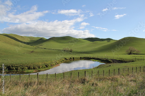 Rolling green pastoral hills, covered with sheep, with a lake in the foreground, a blue sky, and a farm fence, near Havelock North, Hawke's Bay, New Zealand