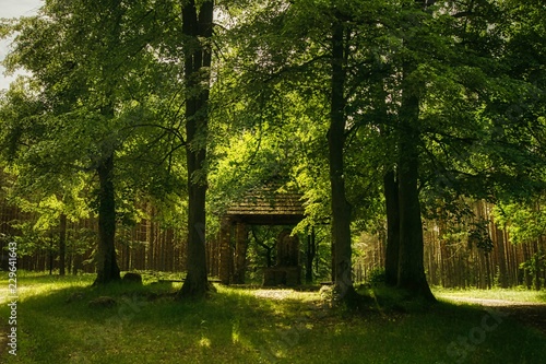 Christian chapel with a Marian statue in the middle of the forest, a thick pine forest visible, a secluded place of prayer away from the village, a place resembling sacred groves in in Slavic beliefs