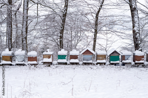 Beehives in winter under the snow