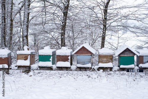 Beehives in winter under the snow