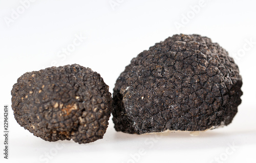 Black truffles isolated on a white background.