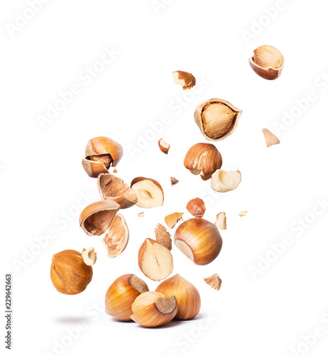 Сracked hazelnuts fall down isolated on white background photo