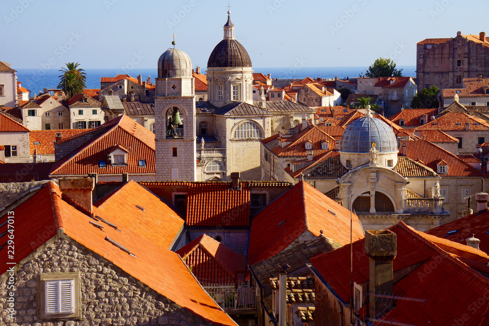Obraz premium view of the city roof tops