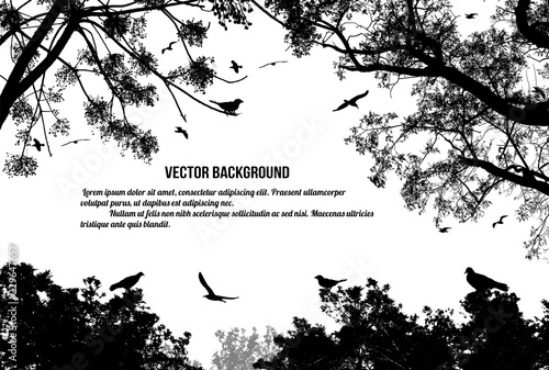 Birds in the tree and flying on white background