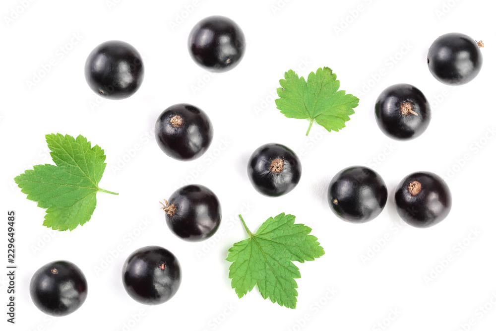 black currant with leaves isolated on white background. Top view. Flat lay pattern black currant with leaves isolated on white background. Top view. Flat lay pattern