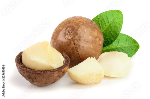 Shelled and unshelled macadamia nuts with leaves isolated on white background photo