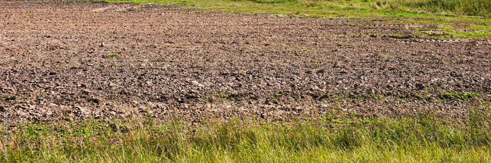 Field for sowing in the grass Field for sowing in the grass