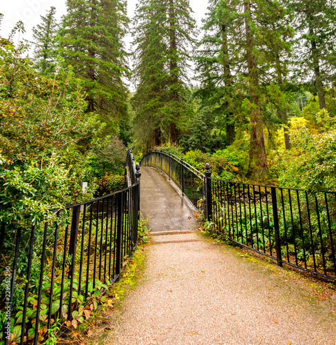 An entry visitor's bridge to Benmore Botanic Garden over river Eachaig, Scotland