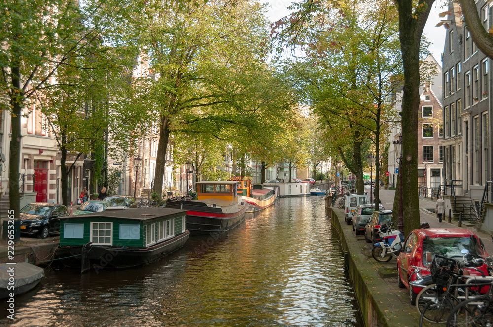 Amsterdam  in fall