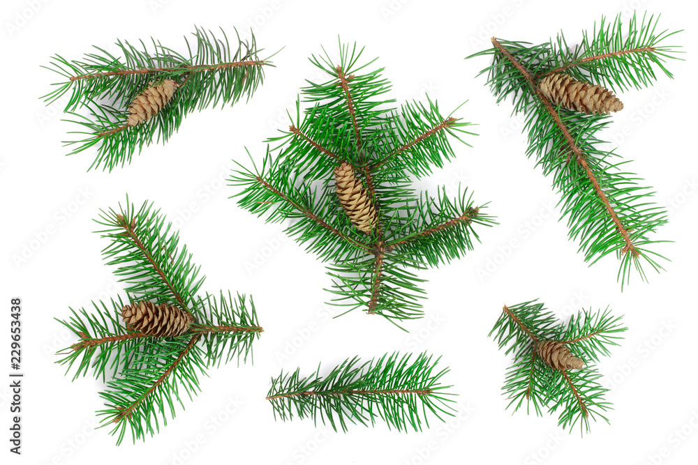 Fir tree branch with cones isolated on white background. Christmas background. Top view Fir tree branch with cones isolated on white background. Christmas background. Top view