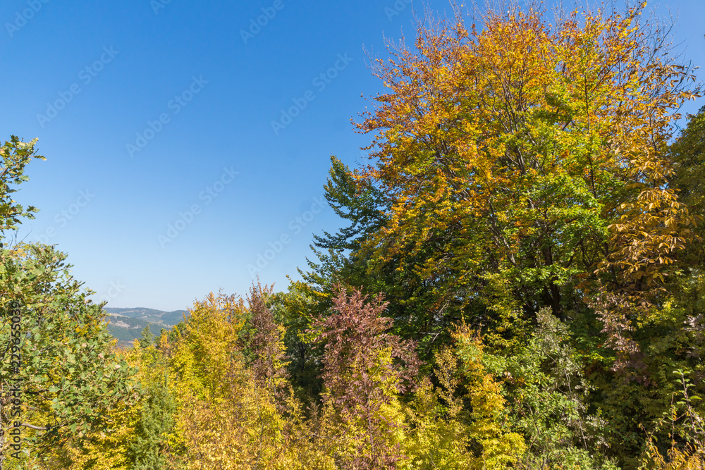 Autumn landscape of Ruen Mountain - northern part of Vlahina Mountain, Kyustendil Region, Bulgaria