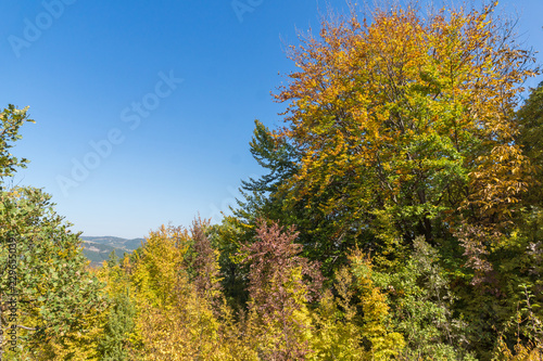 Autumn landscape of Ruen Mountain - northern part of Vlahina Mountain  Kyustendil Region  Bulgaria
