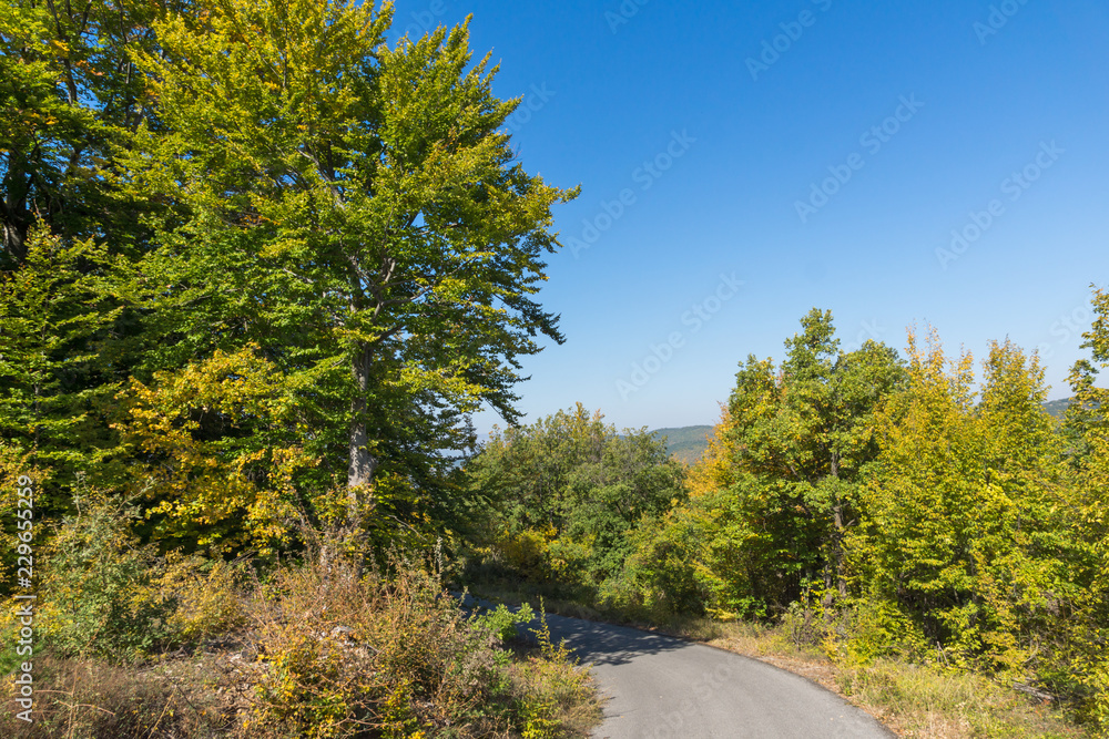 Autumn landscape of Ruen Mountain - northern part of Vlahina Mountain, Kyustendil Region, Bulgaria Autumn landscape of Ruen Mountain - northern part of Vlahina Mountain, Kyustendil Region, Bulgaria