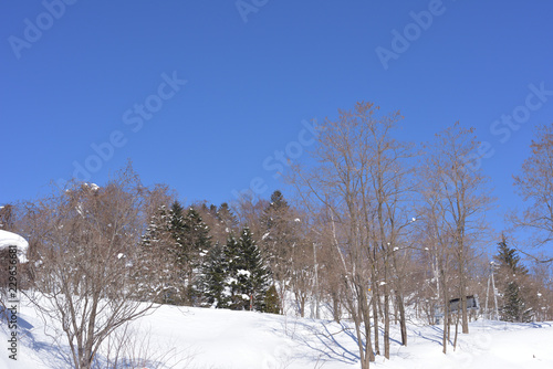 雪景色と青空