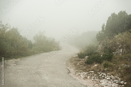 Landscape with magical atmosphere and mysterious fog on the road