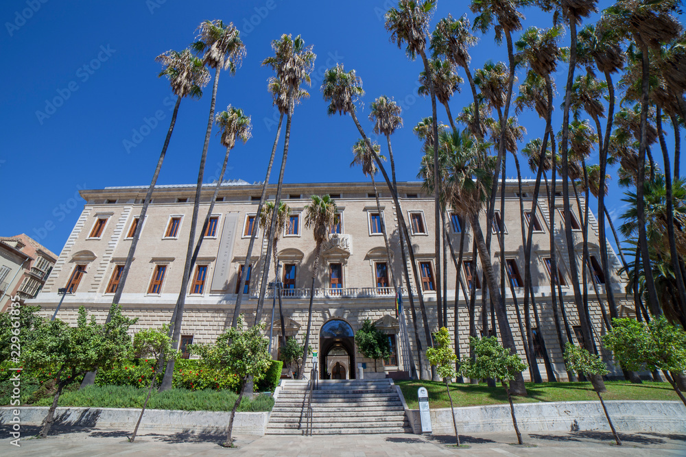Obraz premium Palacio de la Aduana, Malaga, Spain