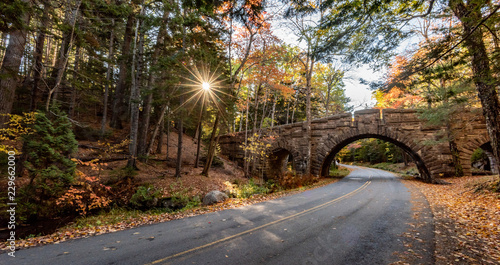 Fotografie Acadia National Park in Autumn