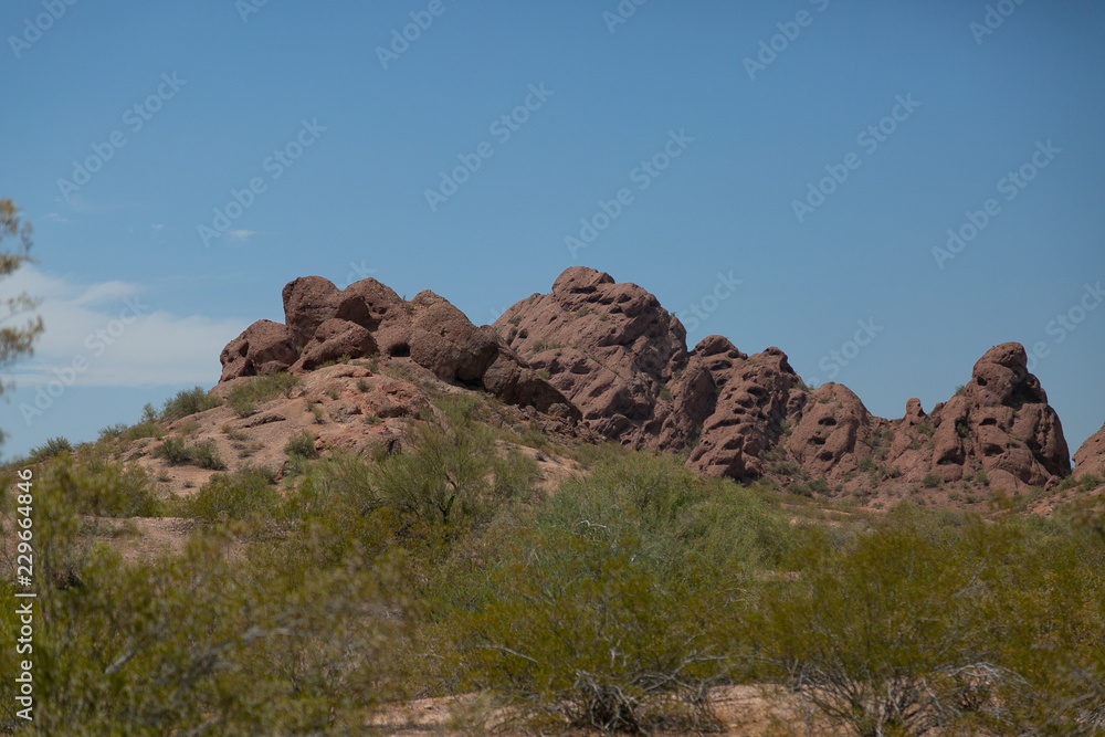 Red sandstone formations with Creosote Bush in foreground Red sandstone formations with Creosote Bush in foreground