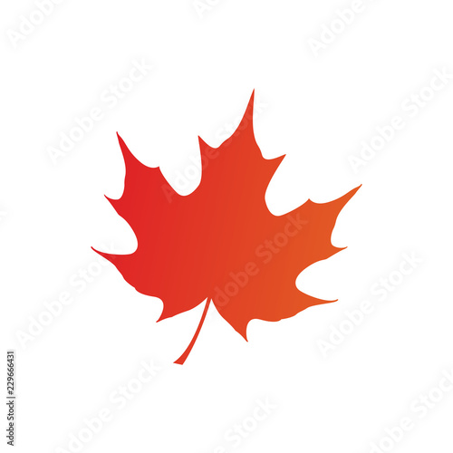 maple leaf logo icon design template vector