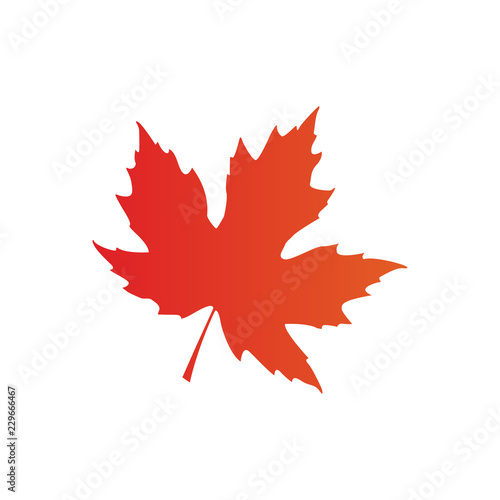 maple leaf logo icon design template vector