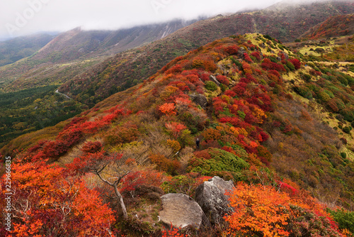 くじゅうの紅葉 © chameleon