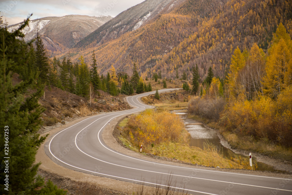 Fototapeta premium Golden autumn