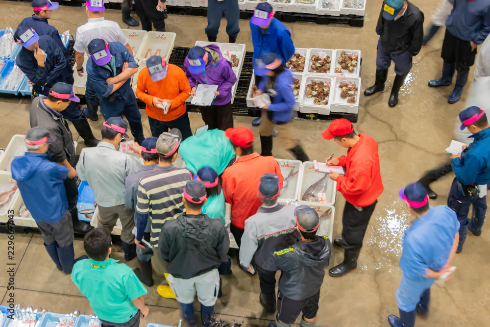 静岡県沼津魚市場 海産物の競り場 Stock 写真 Adobe Stock