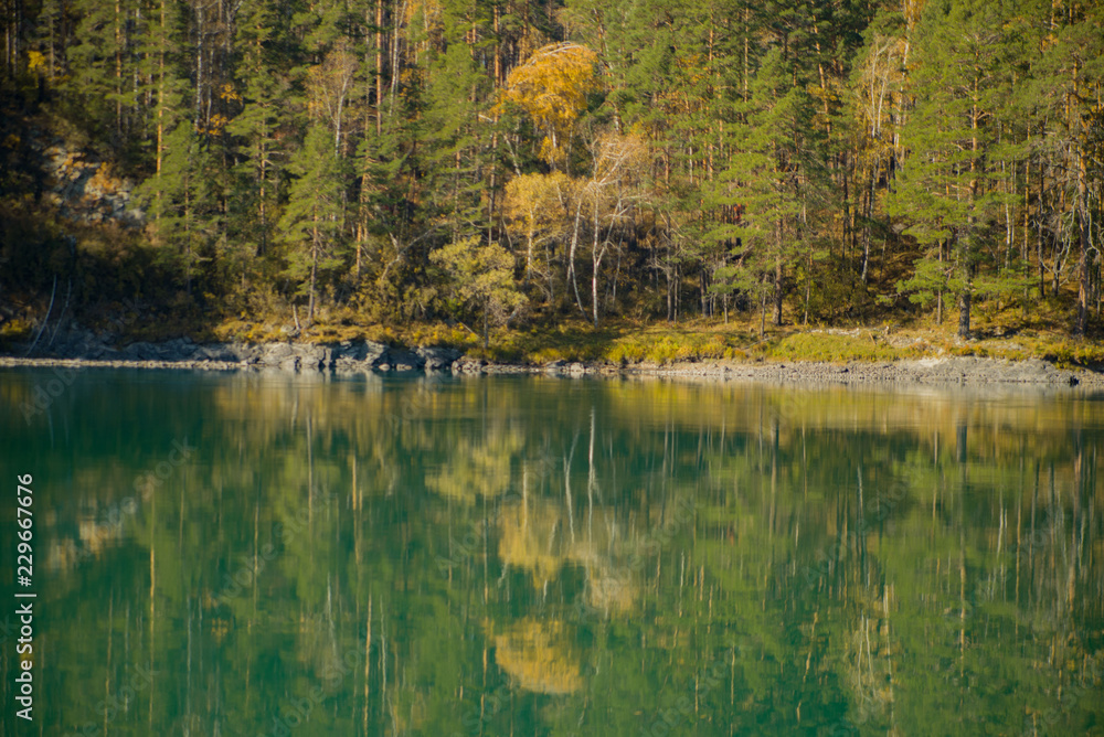 Fototapeta premium Golden autumn