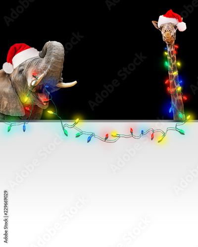 Photography Zoo Giraffe and Elephant Christmas Light Banner