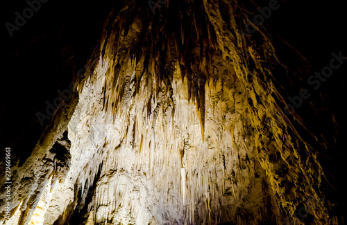 Ruakuri Caves Adventure