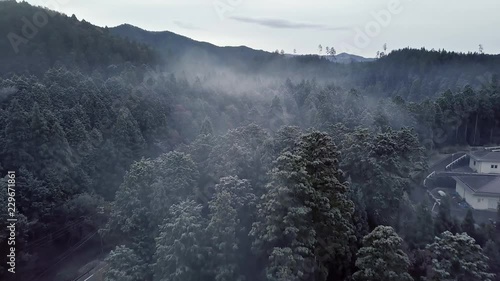 AERIAL: Misty morning above the forest in Mount Koya, Japan. photo