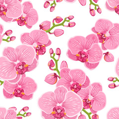 Wandcirkels Orchidee patronen Roze paarse orchideeën op wit  © imaginarybo