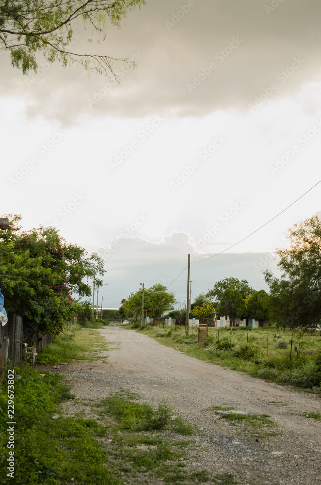 dirt road surrounded by green leaves and beautiful nature, background of a cloudy blue sky dirt road surrounded by green leaves and beautiful nature, background of a cloudy blue sky