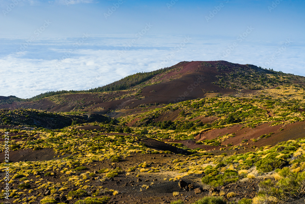 Great view in Teide National Park. Tenerife. Canary Islands..Spain