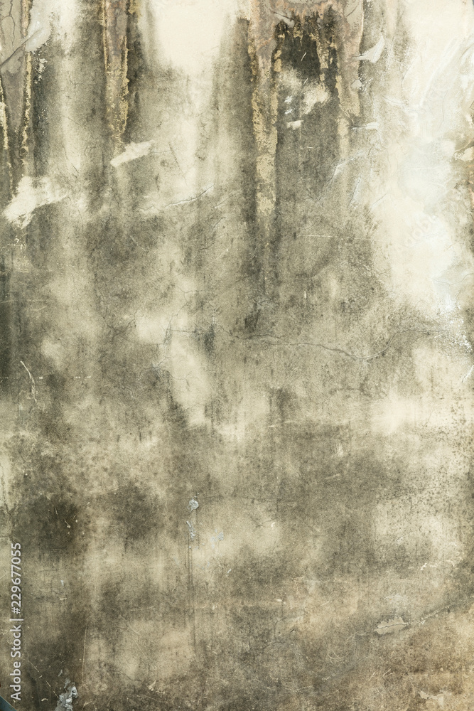 Obraz premium Old vintage crack wall 