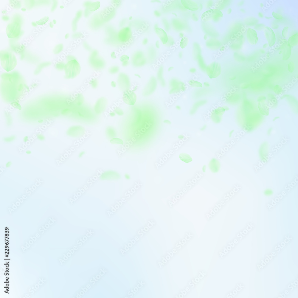 Green flower petals falling down. Charming romanti Green flower petals falling down. Charming romanti